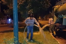 احیا و حفظ فضای سبز شهری صحنه