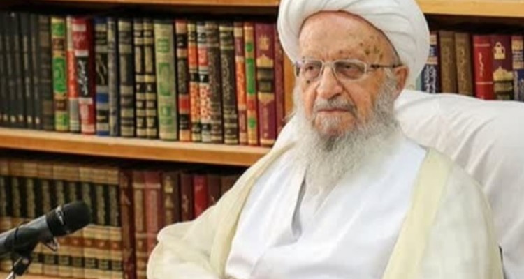 آیت‌الله مکارم شیرازی: کسب درآمد از همستر کامبت جایز نیست