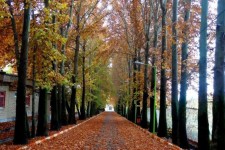 رویداد عکاسی پاییز هزار رنگ در صحنه