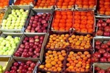 بازار میوه یلدا در کرمانشاه آرام است