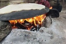 ساج؛ میراثی در معرض فراموشی