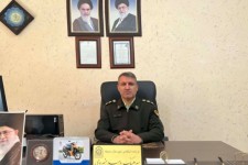 بيش از 4 تن چوب قاچاق در صحنه کشف شد