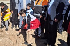 اجرای پویش درختکاری«در سایه مادر» در صحنه