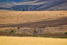 رتبه نخست کرمانشاه در طرح جهش تولید