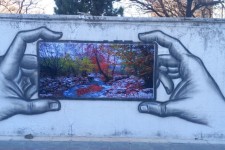 زیباسازی دیوارها در صحنه