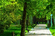 کمبود پارک در برخی محله های صحنه و آسیب‌های آن