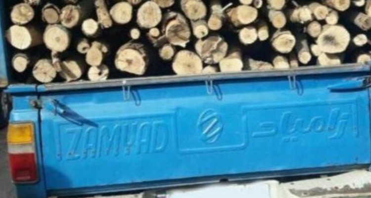 کشف ۳ تن چوب قاچاق در صحنه