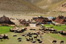 عشایر سربازان گمنام اقتصادی هستند