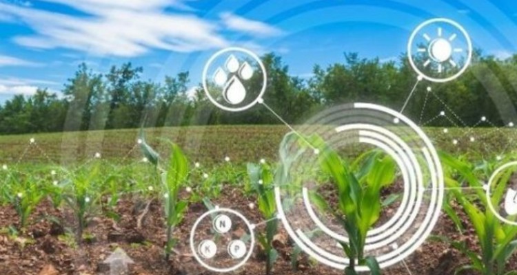 سند جدید کشاورزی کرمانشاه بهره‌وری را افزایش می‌دهد