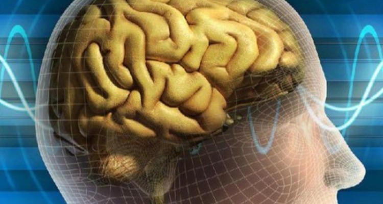 سالانه ۳ هزار کرمانشاهی دچار سکته مغزی می‌شوند