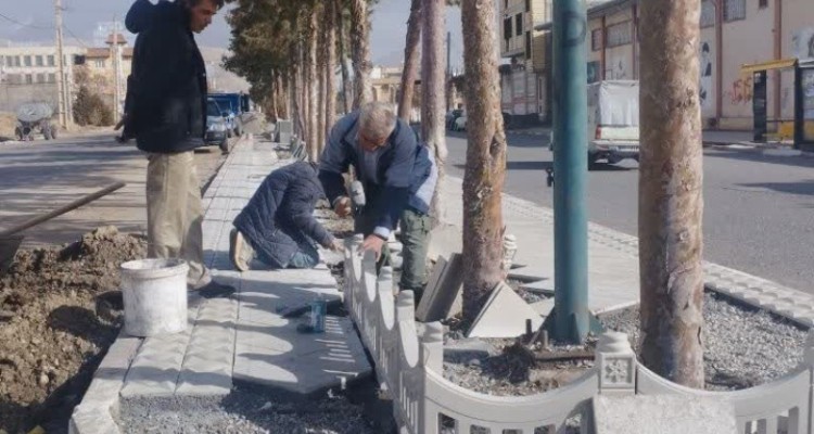 آغاز عملیات دور درختی در بلوار