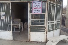 توزیع نان رایگان