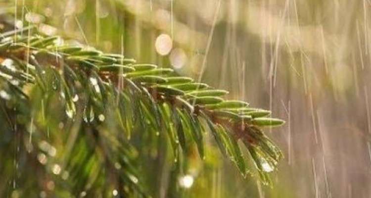 آسمان کرمانشاه این هفته بارانی است