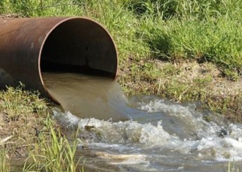 مزارع آلوده در کرمانشاه کاملاً امحا می‌شوند