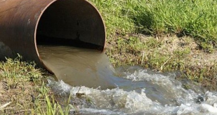 مزارع آلوده در کرمانشاه کاملاً امحا می‌شوند