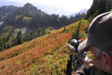  جریمه شکار جانوران وحشی به بیش از پنج برابر افزایش یافت