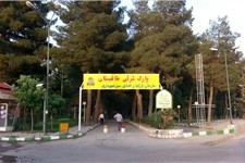 نجوای تشنگی درختان کهنسال به تن کوه طاق‌بستان + تصاویر