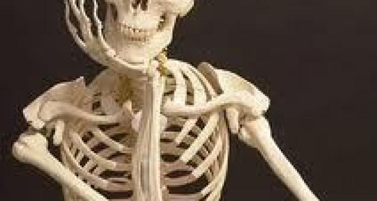  ۱۱ راهنمایی برای بهبود سلامت استخوان های شما 