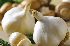  آنتی بیوتیک طبیعی شگفت انگیز 