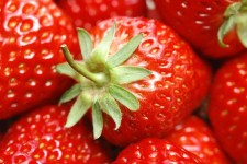  درباره واکس میوه چه می دانید؟