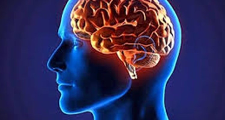 رژیم غذایی که مغز را جوان نگه می‌دارد