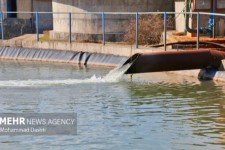 رئیس حفاظت محیط زیست خبر داد؛ برداشت بی‌رویه آب در دالاهو علت اصلی کاهش منابع آبی منطقه
