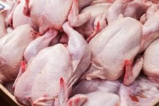 گزارش میدانی مهر؛ قیمت مرغ و تخم مرغ روند کاهشی گرفت/ مرغ؛ ۲۸ هزار و ۵۰۰ تومان