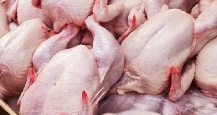 گزارش میدانی مهر؛ قیمت مرغ و تخم مرغ روند کاهشی گرفت/ مرغ؛ ۲۸ هزار و ۵۰۰ تومان
