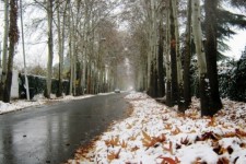 هواشناسی ایران ۱۴۰۰/۱۰/۰۳؛ پیش‌بینی بارش برف و باران در ۲۰ استان