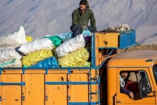 صادرات سیب زمینی متوقف شد