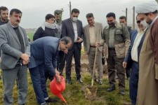 کاشت نهال در روز درختکاری