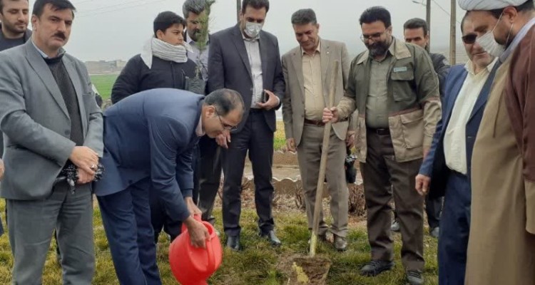 کاشت نهال در روز درختکاری