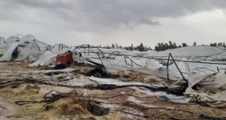 خسارت ۱۷ میلیارد ریالی تگرگ به قصرشیرین