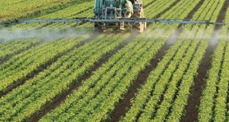 سند اراضی با کاربری کشاورزی صادر می‌شود