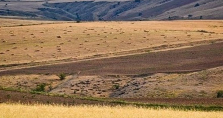 رتبه نخست کرمانشاه در طرح جهش تولید