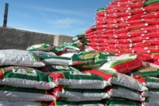 تأمین ۱۶ هزار تن کود شیمیایی در کرمانشاه