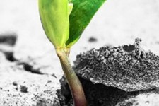 تاب‌آوری در شرایط چالش‌برانگیز