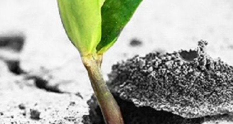 تاب‌آوری در شرایط چالش‌برانگیز