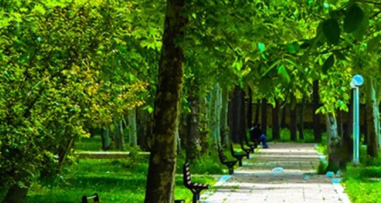 کمبود پارک در برخی محله های صحنه و آسیب‌های آن