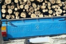 کشف ۳ تن چوب قاچاق در صحنه