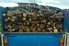 کشف ۴تن چوب قاچاق در صحنه