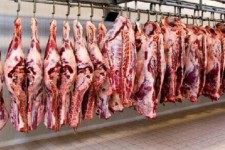 فعالیت ۳۰ کارخانه خوراک دام در کرمانشاه