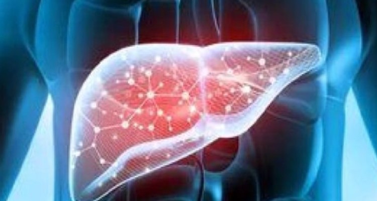 عوامل محیطی و ارثی بیماری‌های کبدی