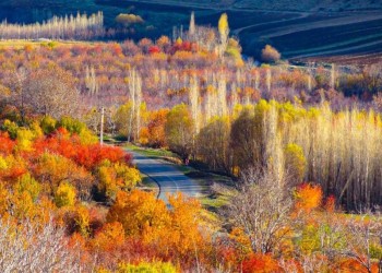 انفجار رنگ ها در خزان برگ ها /پاییز در منطقه زیبای دینور