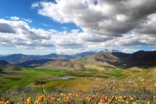 زیبای‌های طبیعت بهاری روستای بید سرخ شهرستان صحنه