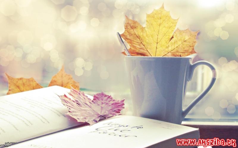 نوشتن دفتر خاطرات به این افراد کمک می کند