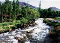 هفت اثر طبیعی کرمانشاه ثبت ملی شد هفت اثر طبیعی کرمانشاه ثبت ملی شد