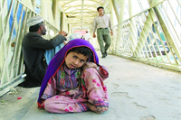 اعلام آمادگی 5 سازمان مردم نهاد برای ساماندهی متکدیان کرمانشاه اعلام آمادگی 5 سازمان مردم نهاد برای ساماندهی متکدیان کرمانشاه