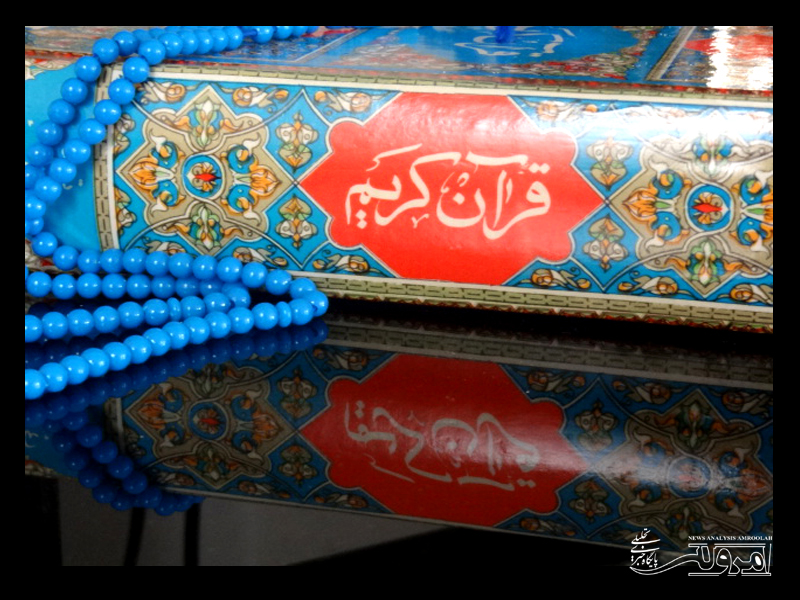 از دیدن این تصاویر زیبا لذت ببرید / تصاویر ارسالی 18