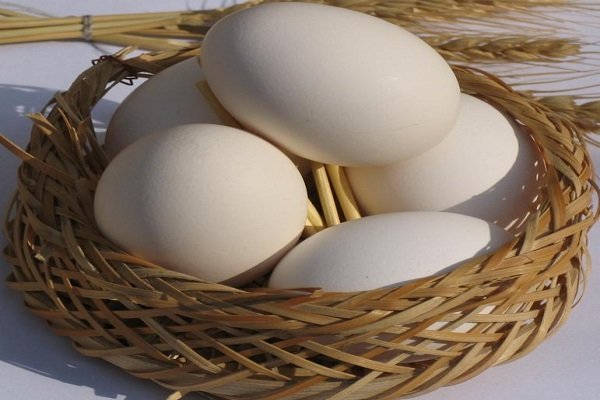 تخم‌مرغ در ماه رمضان ارزان می‌شود